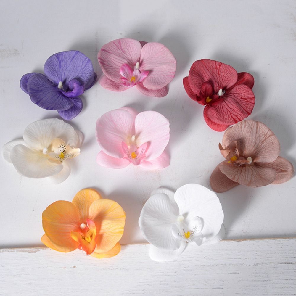 Orchid Phalaenopsis - Cabeza de Flor de Phalaenopsis Hecha