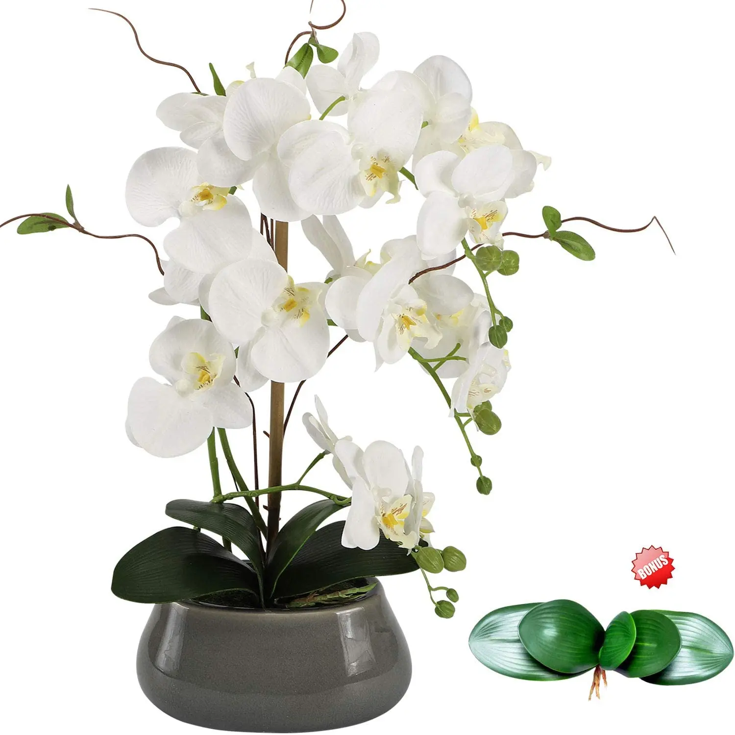 Orchid Phalaenopsis - Centros de mesa de flores de