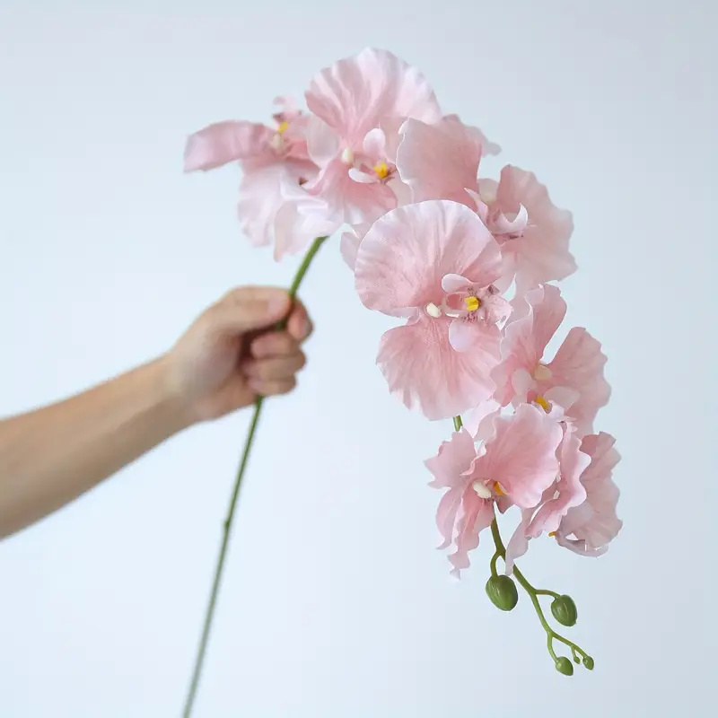 Orchid Phalaenopsis - Rama larga, mariposa, orquídeas, flores artificiales,