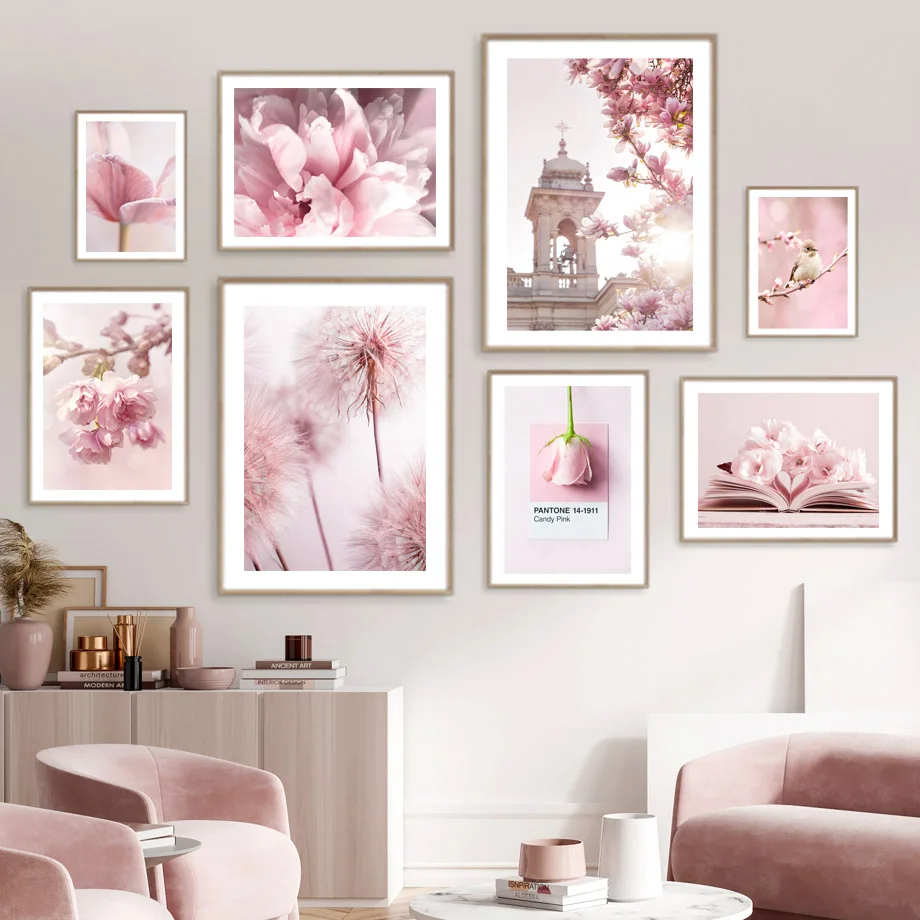 Orchid Phalaenopsis - Primavera Rosa peonía Sakura diente de