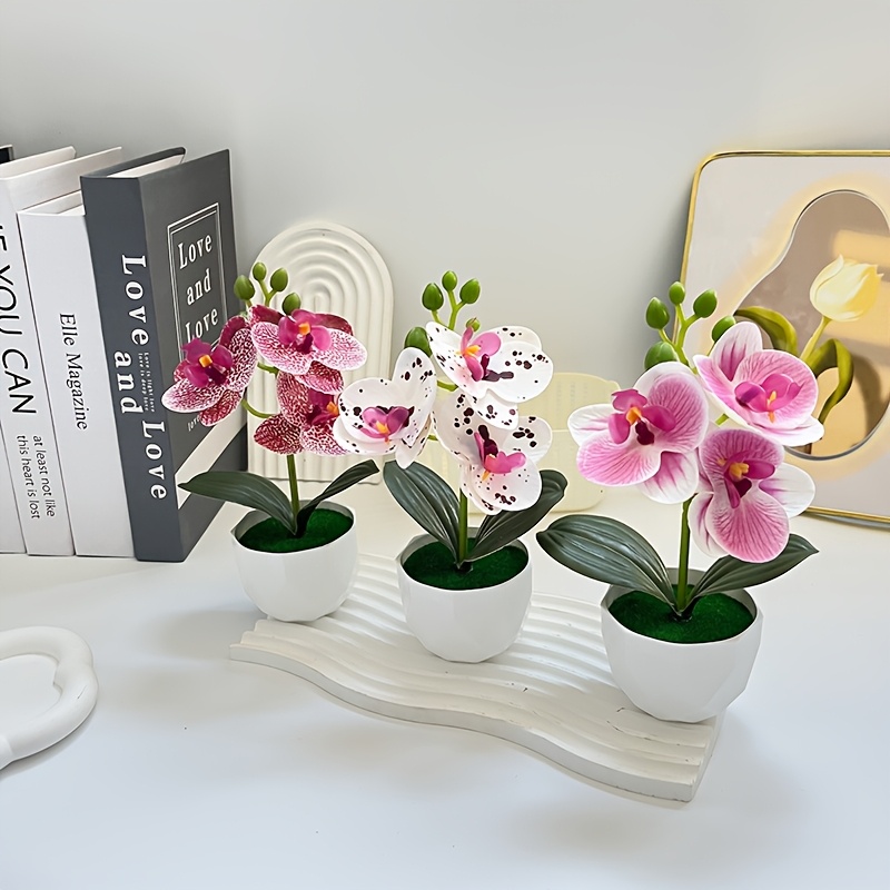3 Piezas de Orquídeas Phalaeno - Orchid Phalaenopsis reseña y precio