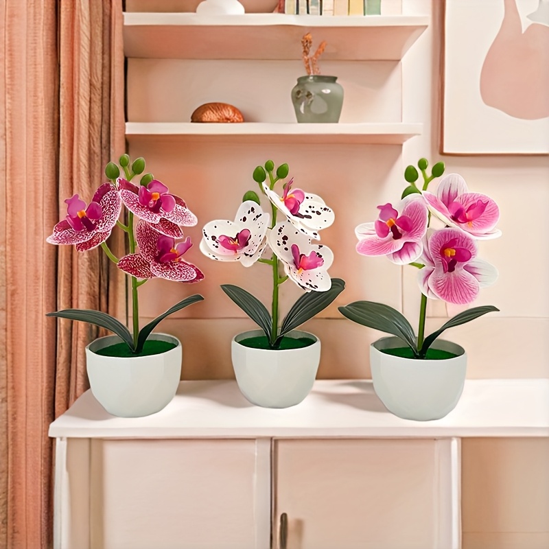 3 Piezas de Orquídeas Phalaeno - Orchid Phalaenopsis reseña y precio