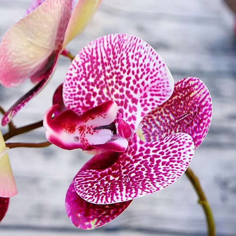 Flores artificiales 3D, maripo - Orchid Phalaenopsis reseña y precio