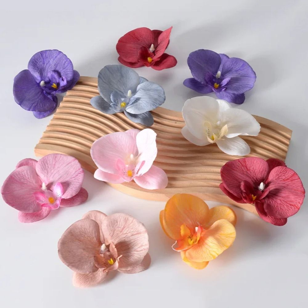 Cabeza de Flor de Phalaenopsis - Orchid Phalaenopsis reseña y precio