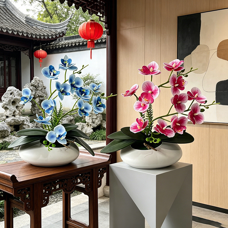 Orquídea Mariposa, Bonsái de 1 - Orchid Phalaenopsis reseña y precio