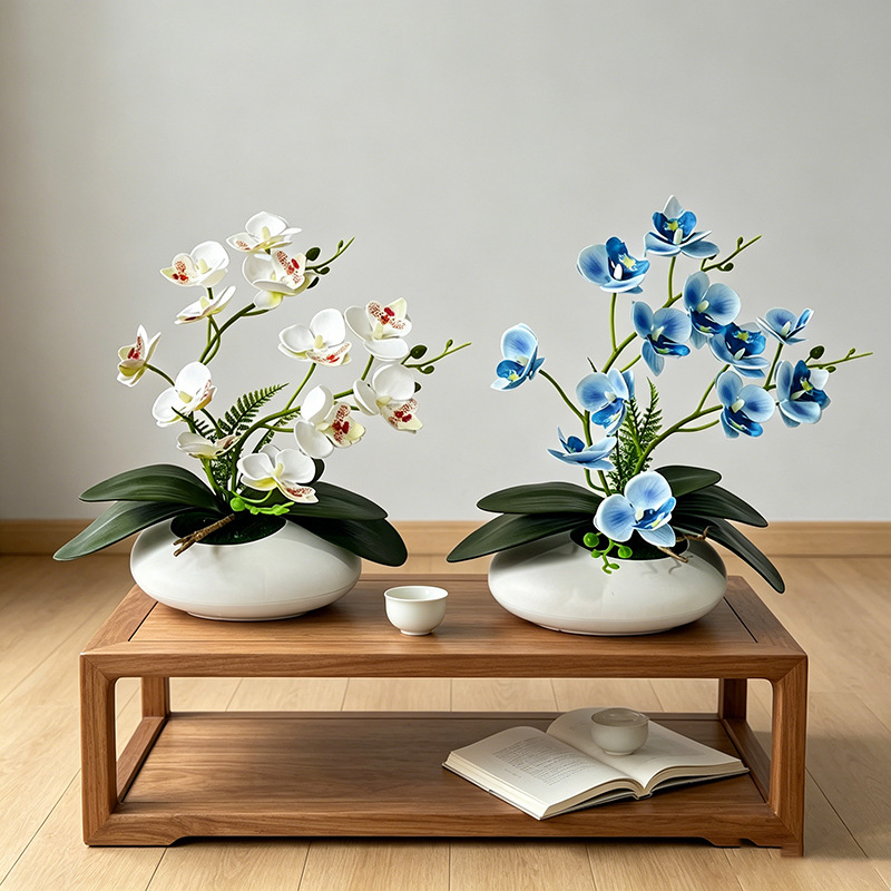 Orquídea Mariposa, Bonsái de 1 - Orchid Phalaenopsis reseña y precio