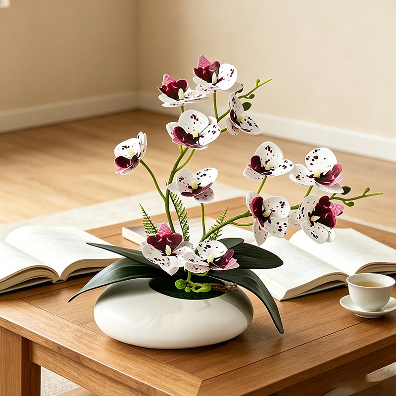Orquídea Mariposa, Bonsái de 1 - Orchid Phalaenopsis reseña y precio
