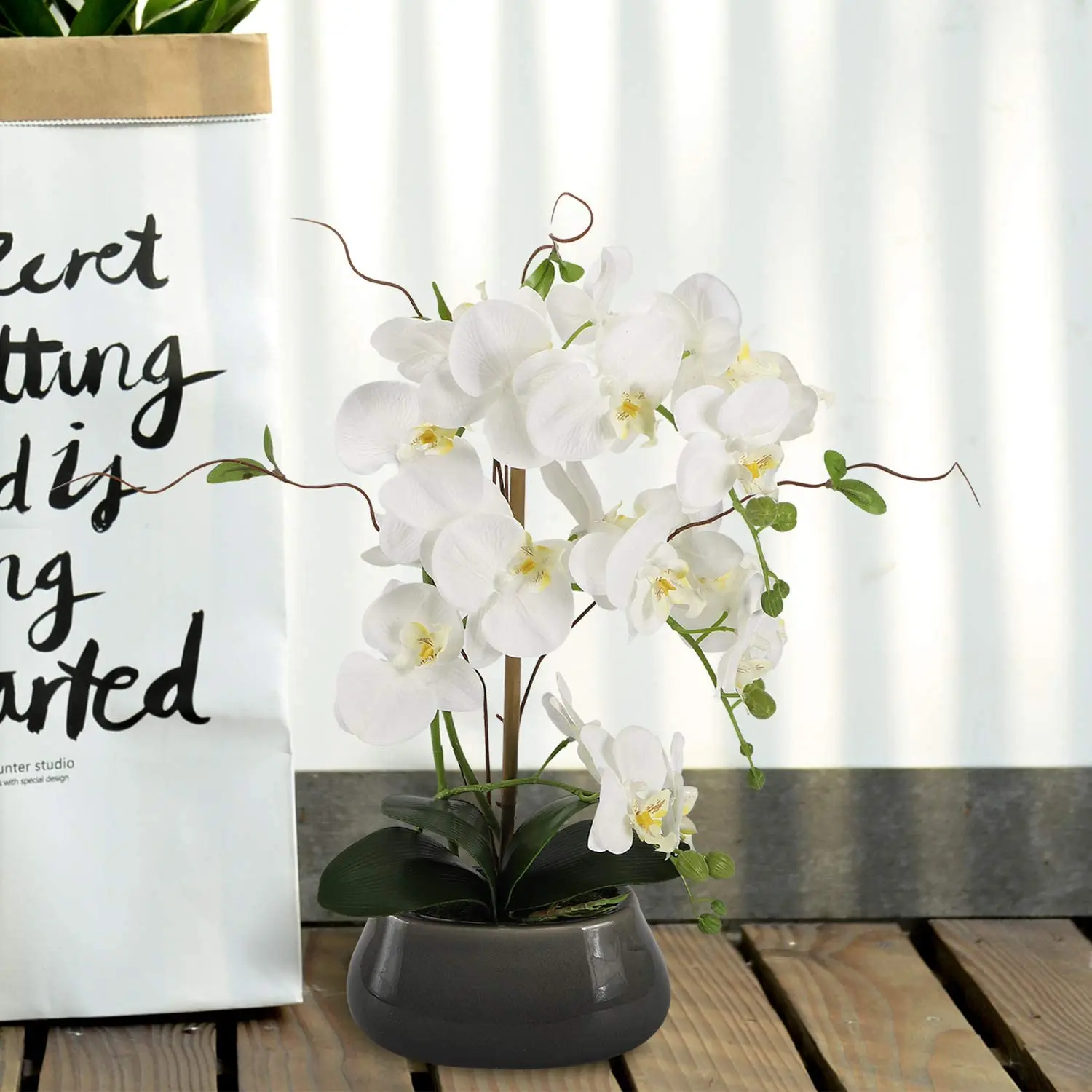 Centros de mesa de flores de o - Orchid Phalaenopsis reseña y precio
