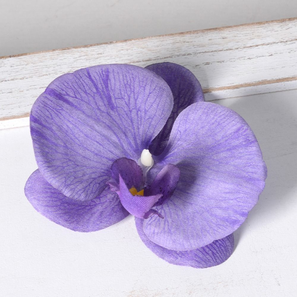 Cabeza de Flor de Phalaenopsis - Orchid Phalaenopsis reseña y precio