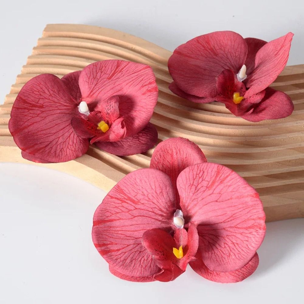 Cabeza de Flor de Phalaenopsis - Orchid Phalaenopsis reseña y precio