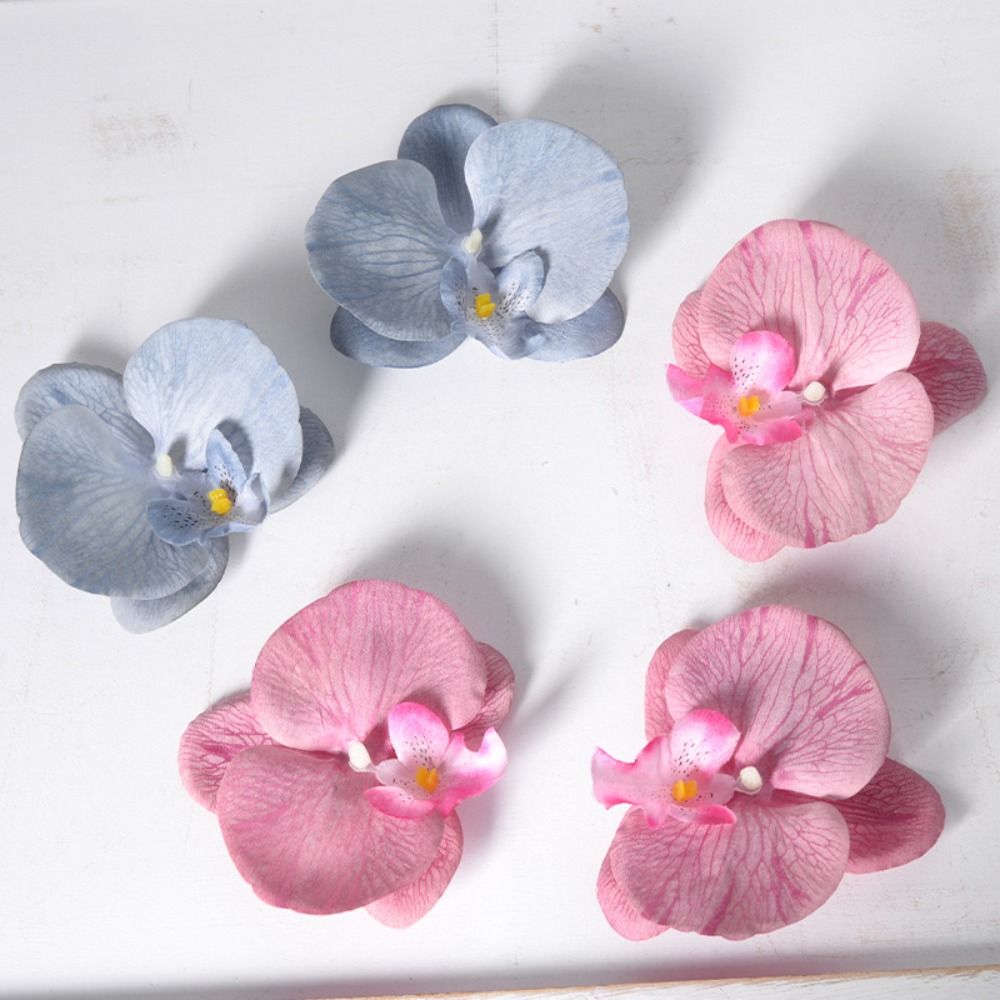 Cabeza de Flor de Phalaenopsis - Orchid Phalaenopsis reseña y precio