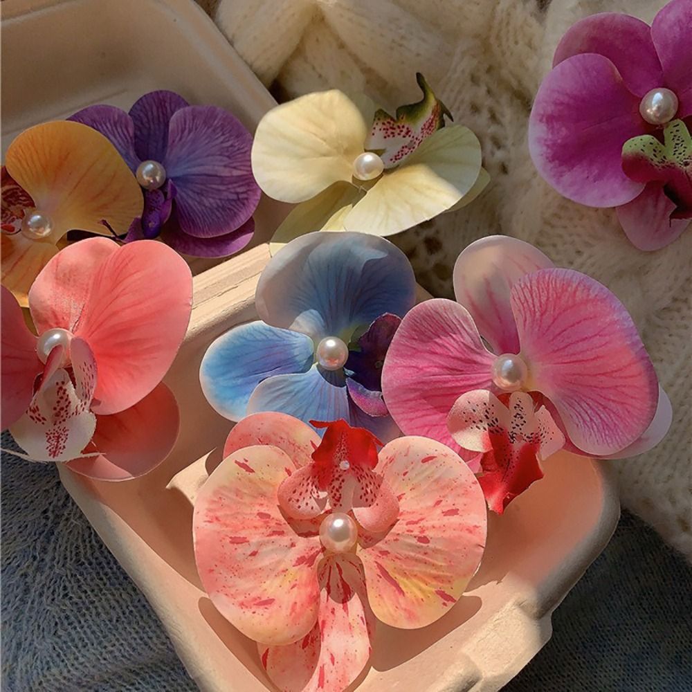 Clip de pico de pato de 1 piez - Orchid Phalaenopsis reseña y precio